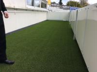 Polished Artificial Grass image 1